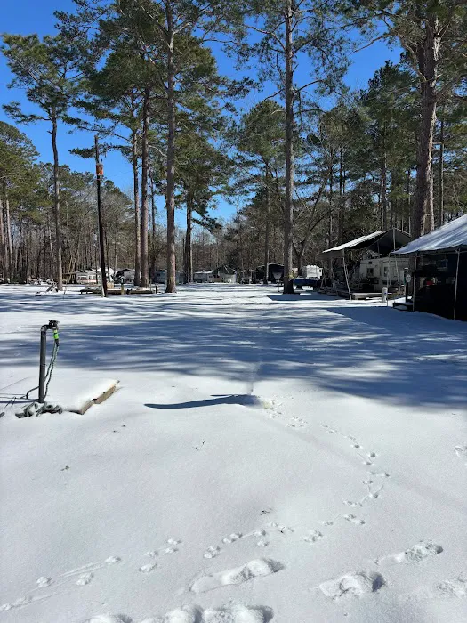 Nearshore 17 Campground 1