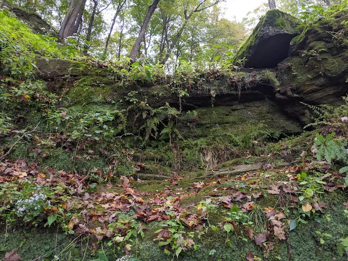 Fred C. Andersen Scout Camp 5