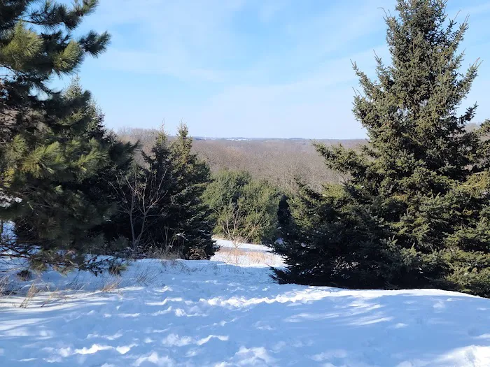 Swanson Lodge 7