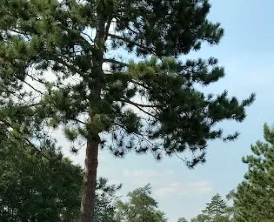 Equestrian Campground