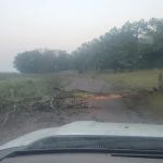 Crex Meadows Campground