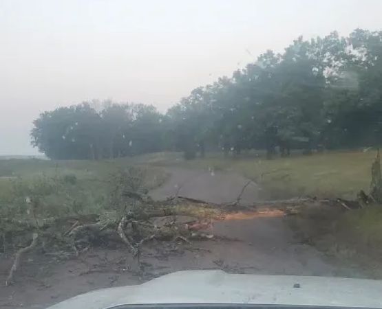 Crex Meadows Campground
