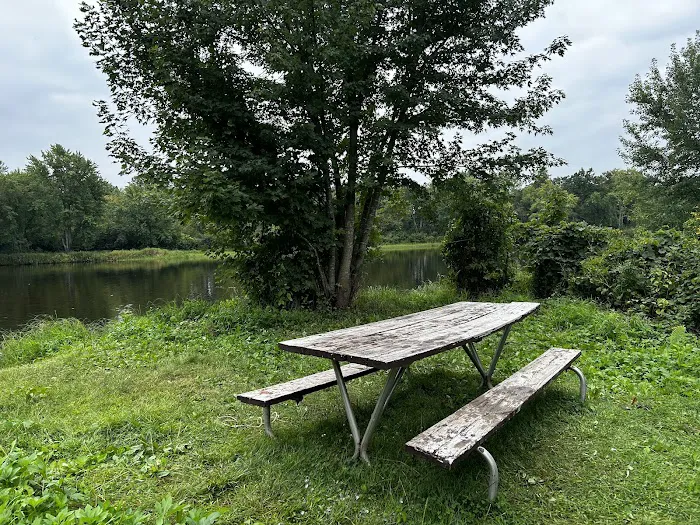 Bear Creek Campsite 6