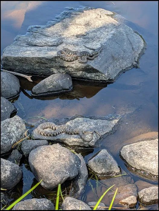 Sioux Portage Group Campground 2