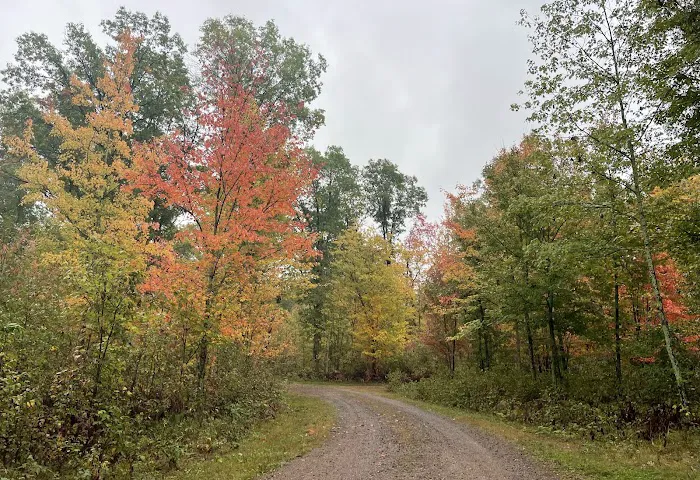 Saint Croix Pines Campground 5