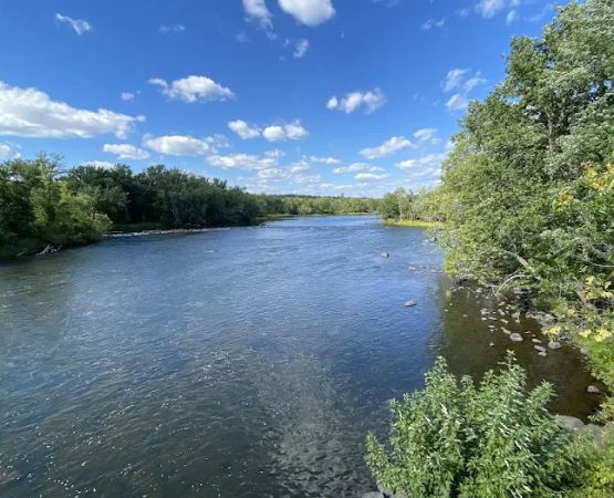 Thayers Landing
