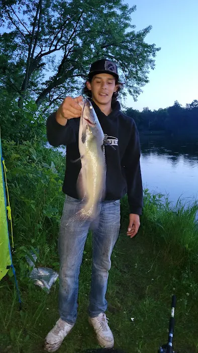 Fox Landing 5