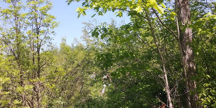 Tamarack Horse Campground 4