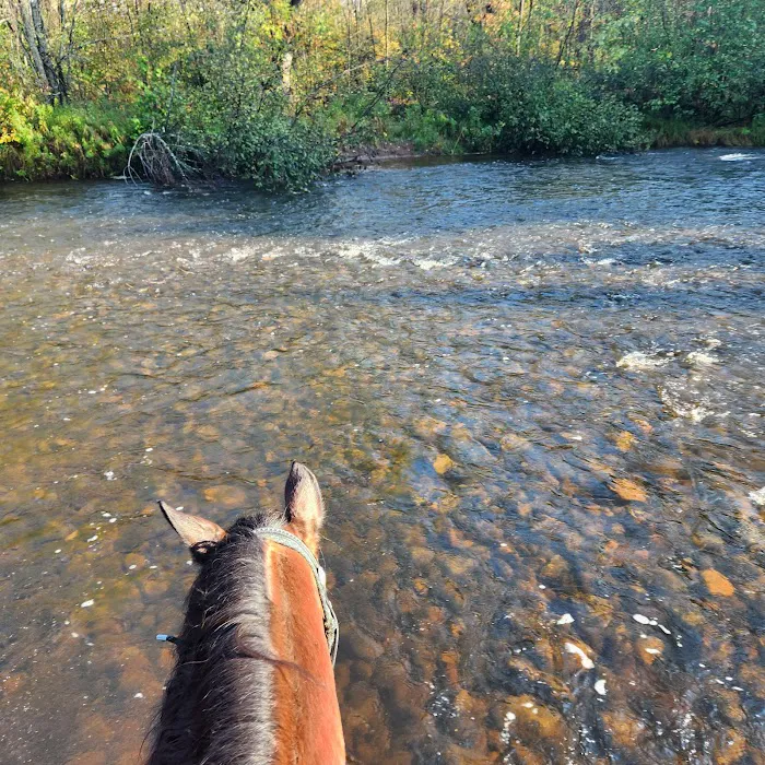 Tamarack Horse Campground 8