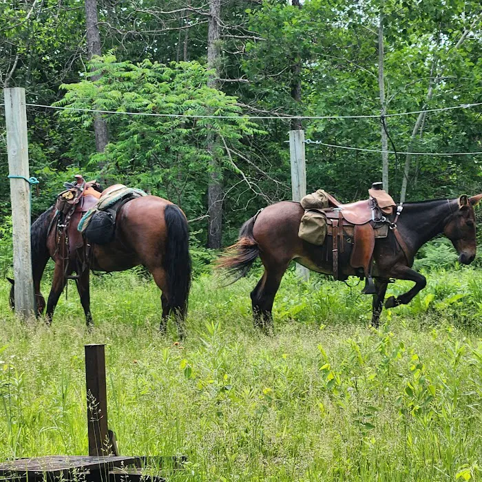 Tamarack Horse Campground 2