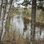 Tamarack Horse Campground