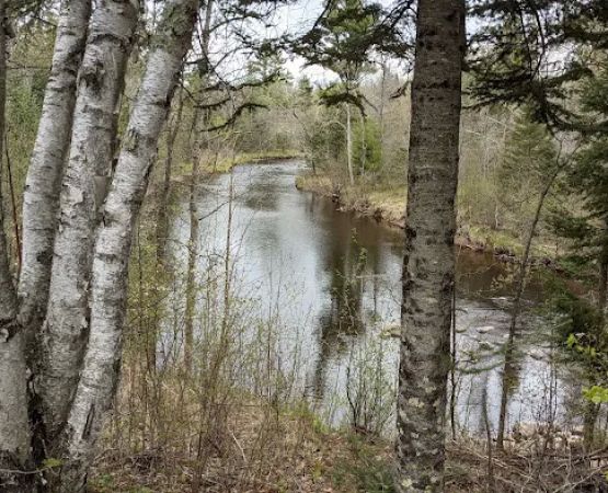 Tamarack Horse Campground