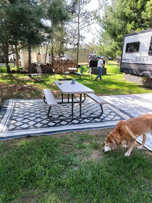 Pardun's Jack Pine Campground 3