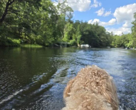 DuFour's Campground