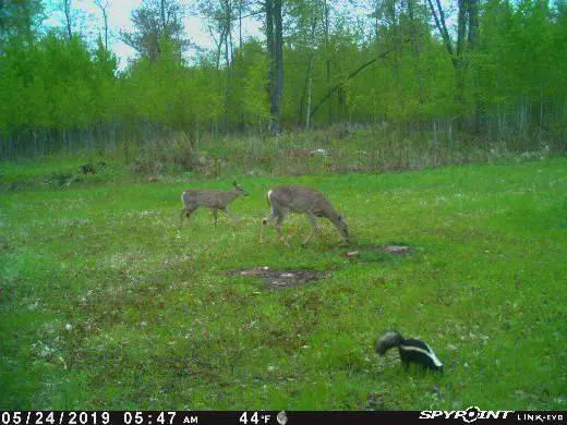 Crooked Creek Outpost, LLC 2