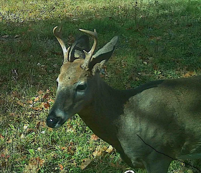 Crooked Creek Outpost, LLC 3