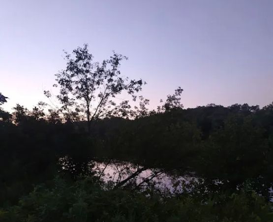 Wild River State Park