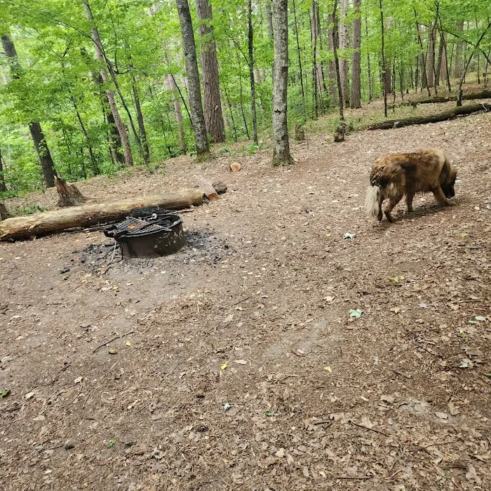 Sandrock Cliffs Campground 1