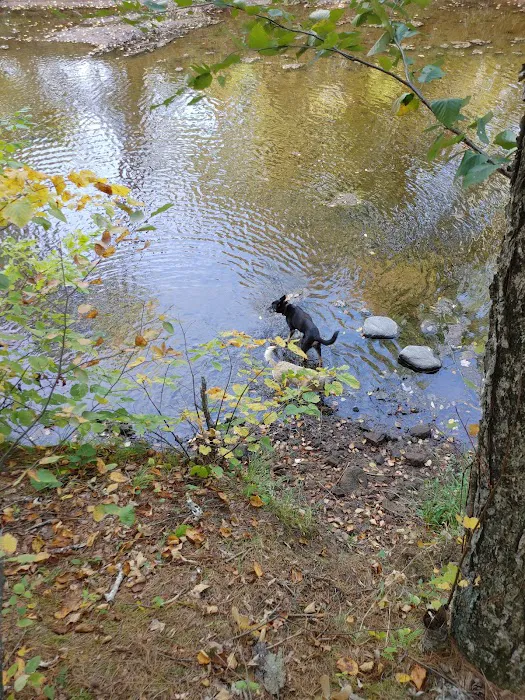 Sandrock Cliffs Campground 7