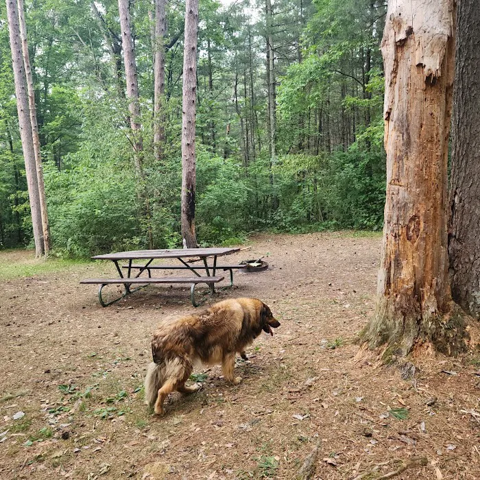 Sandrock Cliffs Campground 4