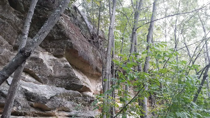 Sandrock Cliffs Campground 5