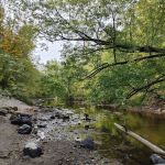 Sandrock Cliffs Campground