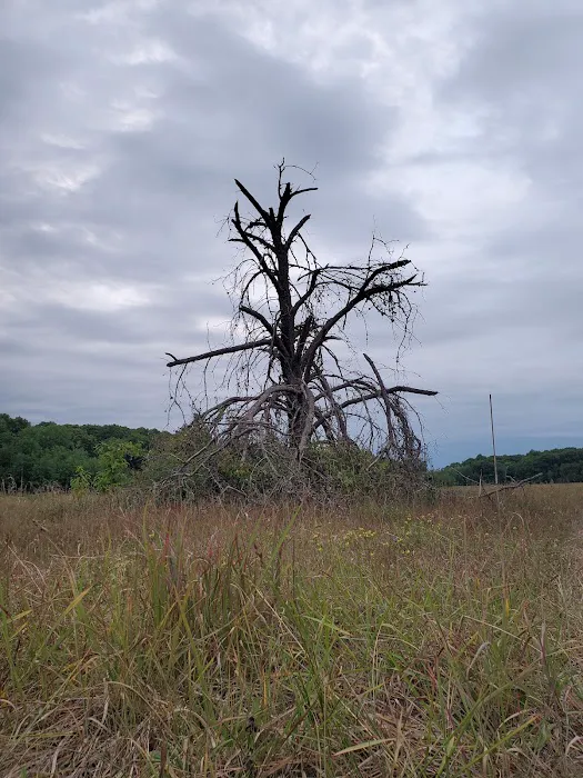 Wild River State Park Group Camp 1