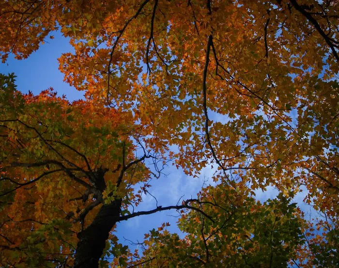 Freedom Valley Campground 6