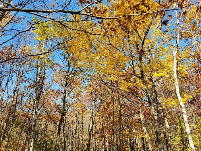 Spirit Mountain Campground 9