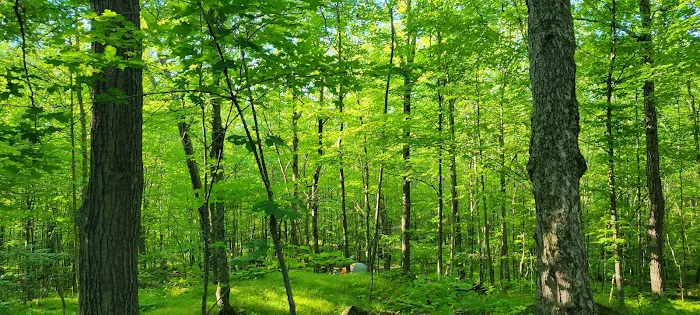 Spirit Mountain Campground 3