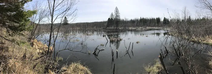 Lost Lake Campsite 5