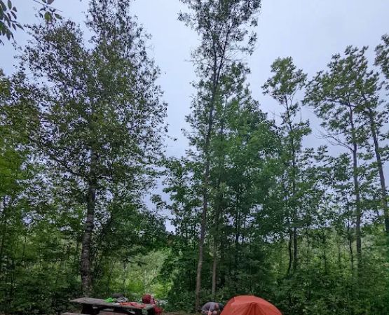 Ash Ridge Camp