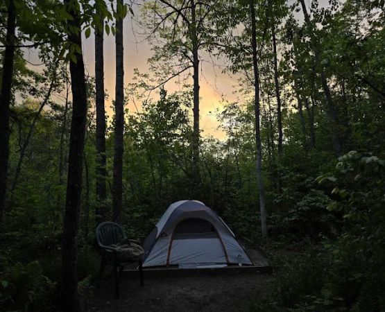 Red River Valley Campsite