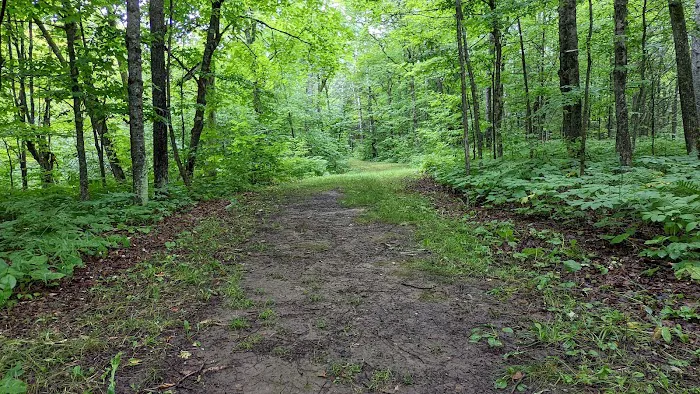 Campground Jay Cooke State Park 0