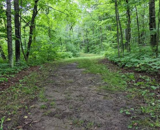 Campground Jay Cooke State Park
