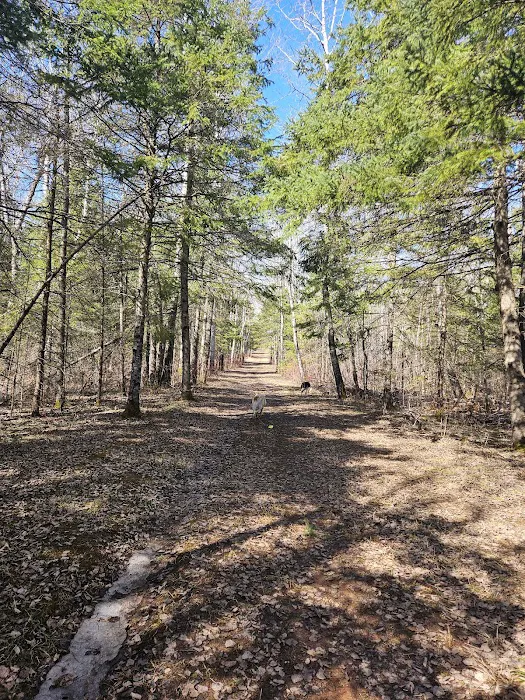 Campground Jay Cooke State Park 9