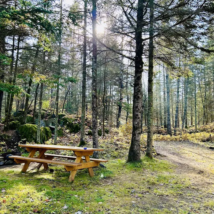 Knife Island Campground 9