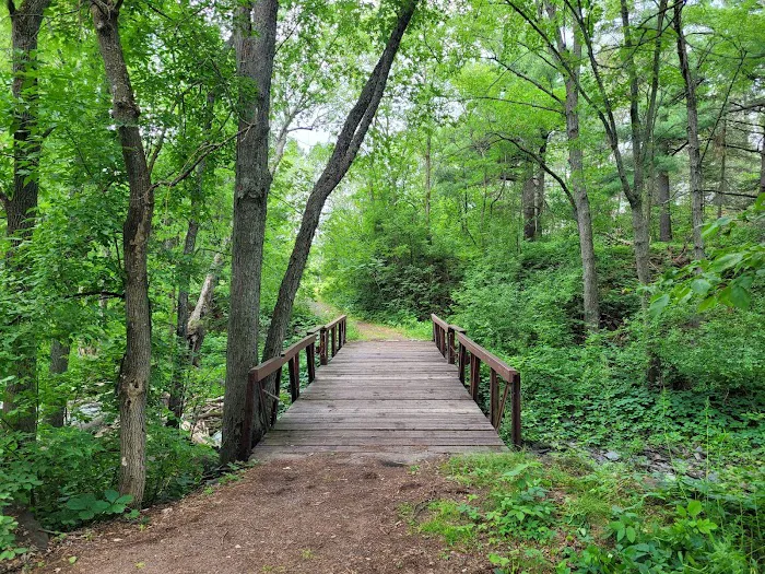 Knife Island Campground 5
