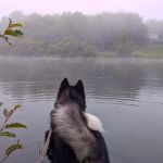 Bagley Nature Area Campground