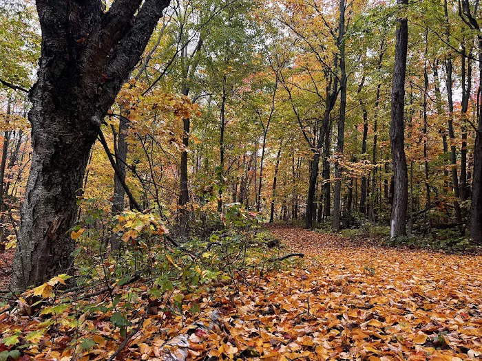 Bagley Nature Area Campground 3