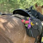 Trade River Equestrian Campground, Governor Knowles State Forest, WI