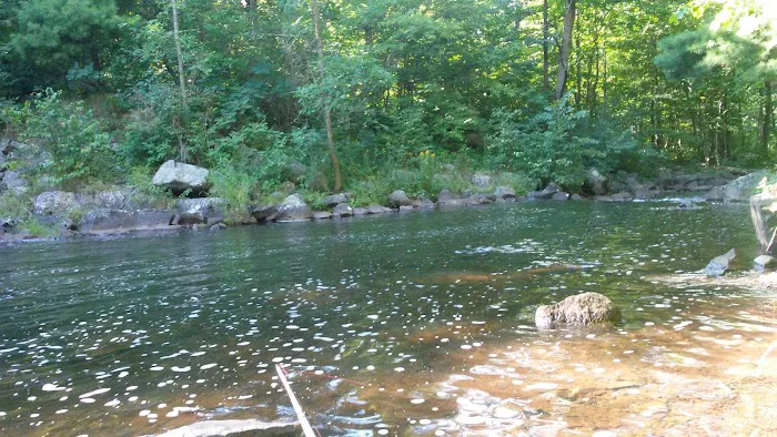 Clam Falls Campground 0