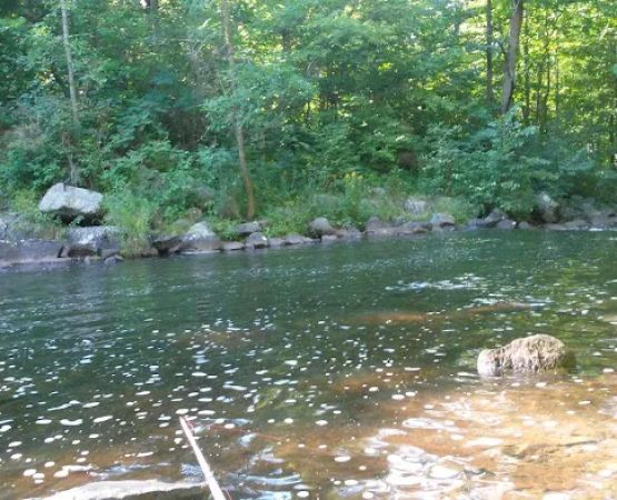 Clam Falls Campground