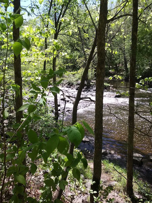 Clam Falls Campground 2