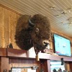 Hay Creek Valley Campground and Old Western Saloon