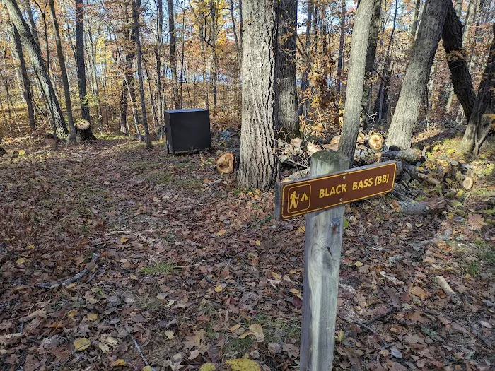 Black Bass Lake Backpacking Site 3