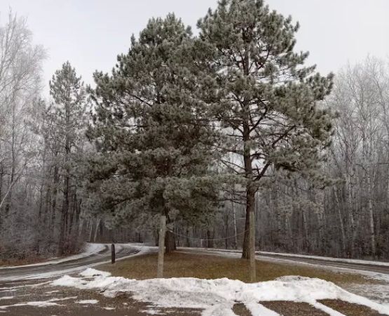 Equestrian Campground