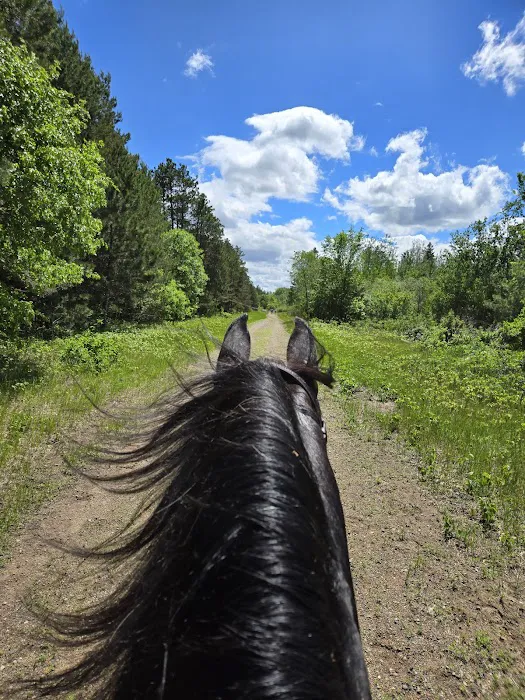 Bob Dun Horse Campground 9