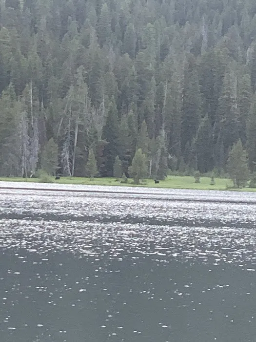 Bear Bottoms Watercraft Campsite 0