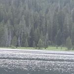 Bear Bottoms Watercraft Campsite